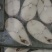 鳕鱼片深海