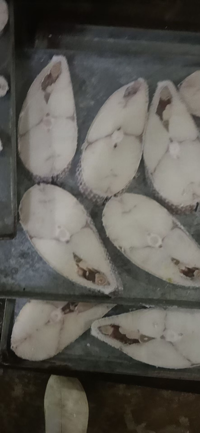 鳕鱼片深海