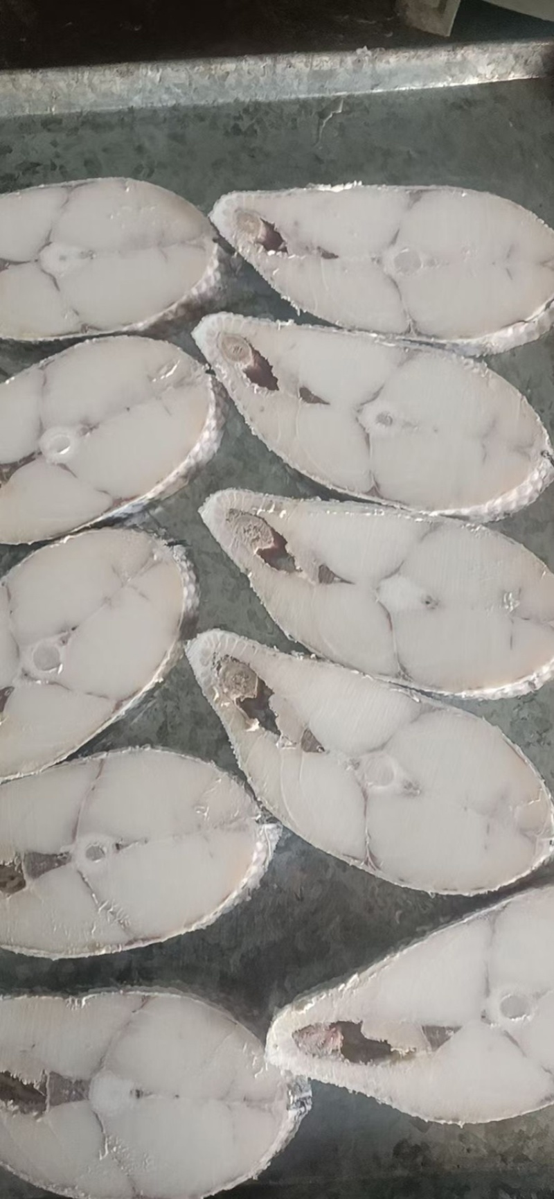 鳕鱼片深海