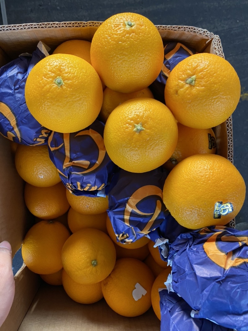 埃及橙进口橙30斤水分充足橙味浓郁