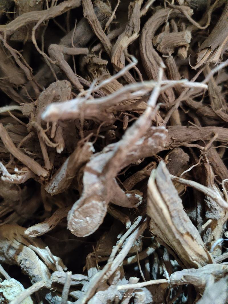 广西野生中药材臭牡丹芙蓉根八宝根