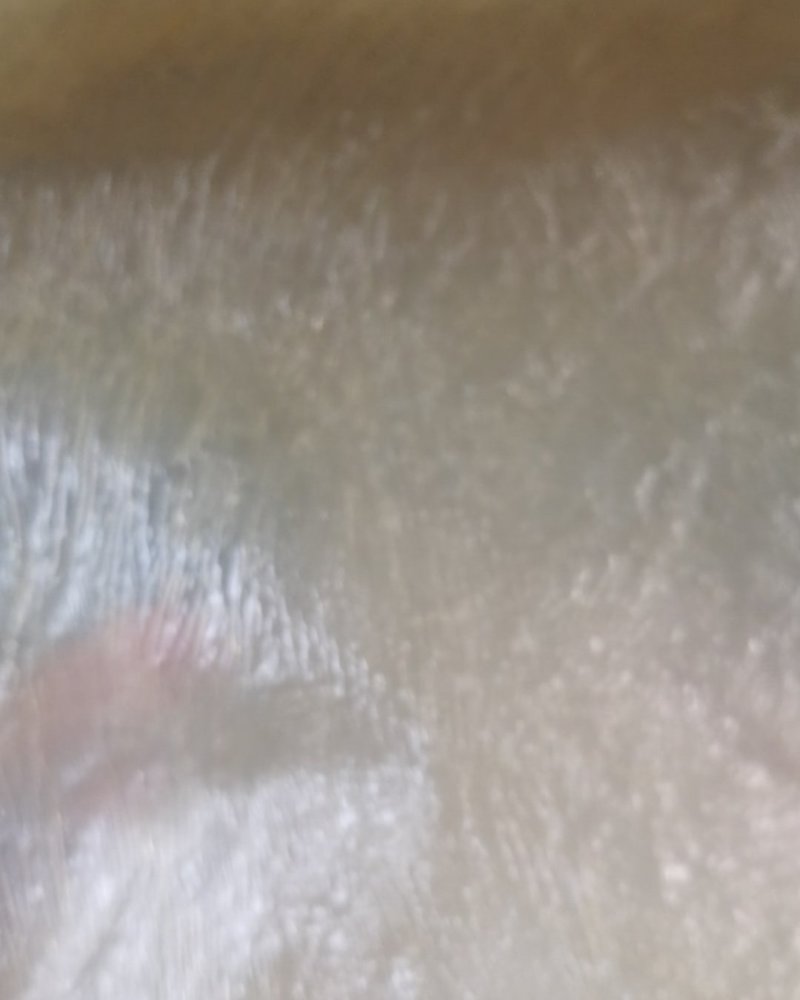 河南省永城市豆油皮