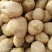 城固土豆黄皮白芯3两以上现在正在上市中量大