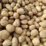 城固土豆黄皮白芯3两以上现在正在上市中量大