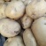 城固土豆黄皮白芯3两以上现在正在上市中量大
