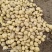 城固土豆黄皮白芯3两以上现在正在上市中量大