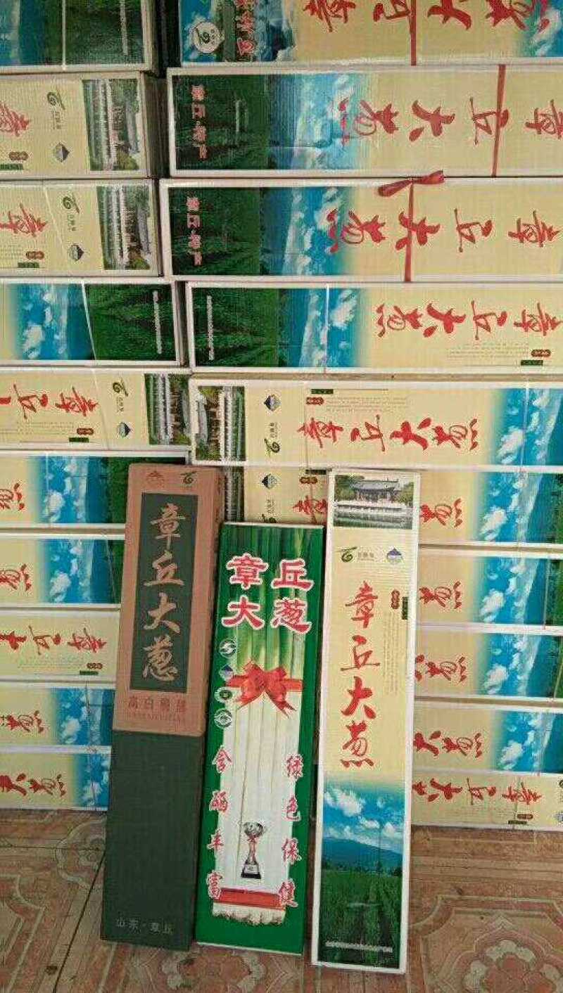 章丘大葱新货精选，口感好，微甜，去叶，净白装盒，耐贮存。