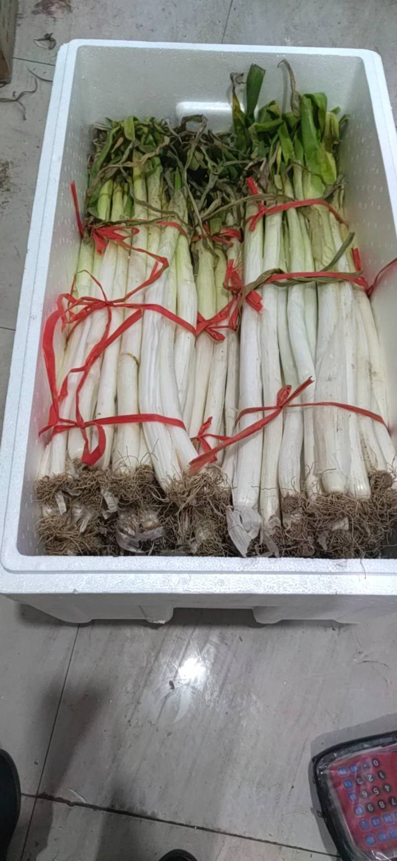 章丘大葱新货精选，口感好，微甜，去叶，净白装盒，耐贮存。