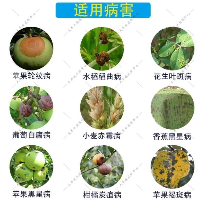 龙灯福连戊唑醇多菌灵戊唑多菌灵作物杀菌剂叶斑病轮