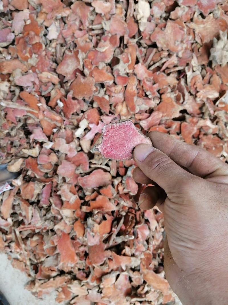 广东本地金刚藤（菝葜）干货大量出售，大量出售…