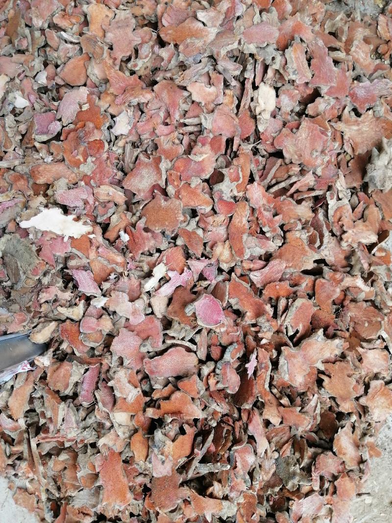广东本地金刚藤（菝葜）干货大量出售，大量出售…