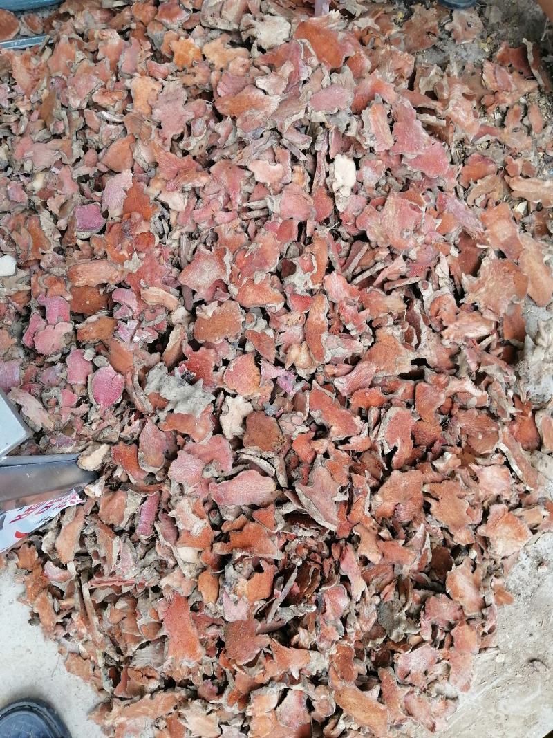 广东本地金刚藤（菝葜）干货大量出售，大量出售…