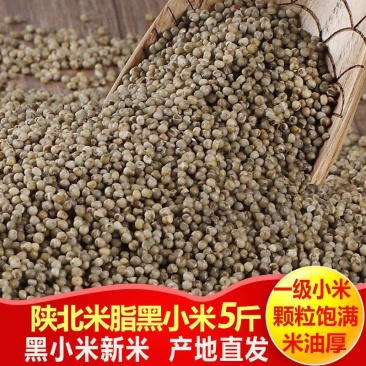 【黑小米】米脂黑小米产地发货5斤袋装多规格可选包邮