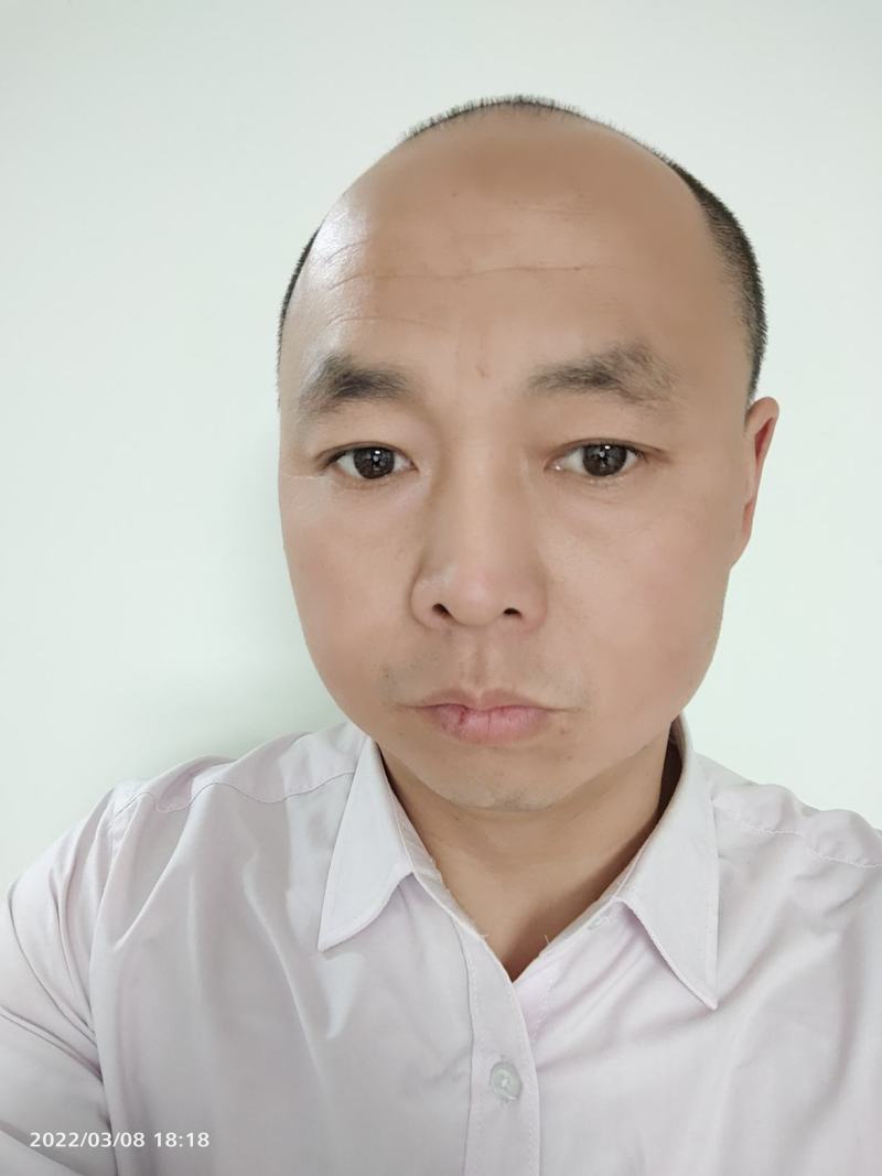河南内黄县甜瓜博洋6博洋9口感香酥脆甜产地直发量大从优