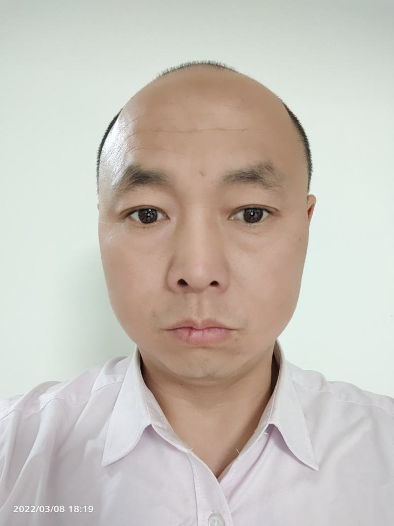 【荐】河南内黄县绿宝甜瓜博洋9甜瓜口感香酥脆甜商超市场