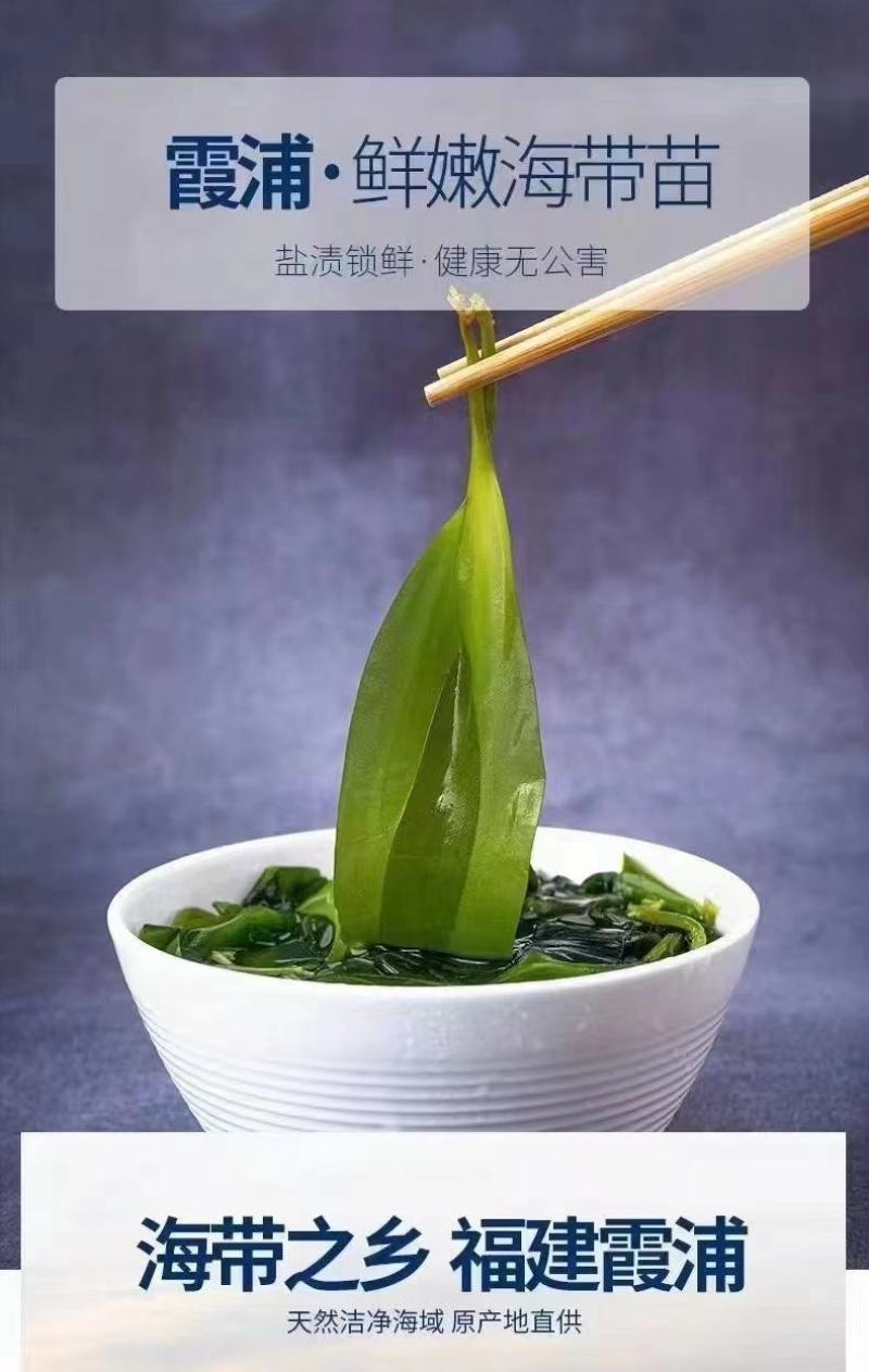霞浦海带苗，海带嫩苗（头水海带苗）适用烫火锅青炒炖汤