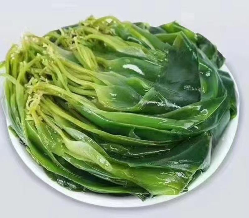 霞浦海带苗，海带嫩苗（头水海带苗）适用烫火锅青炒炖汤