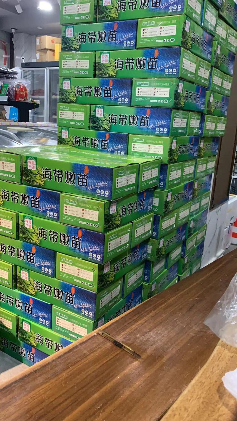 霞浦海带苗，海带嫩苗（头水海带苗）适用烫火锅青炒炖汤