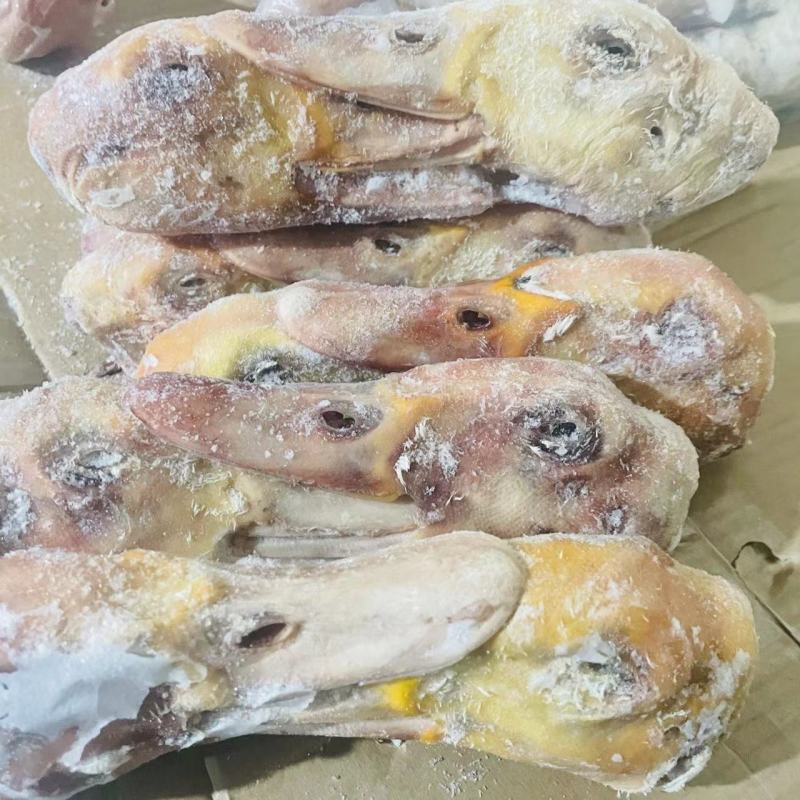 二级鸭头二级大鸭头二级番鸭头特价鸭头，特价大鸭头。