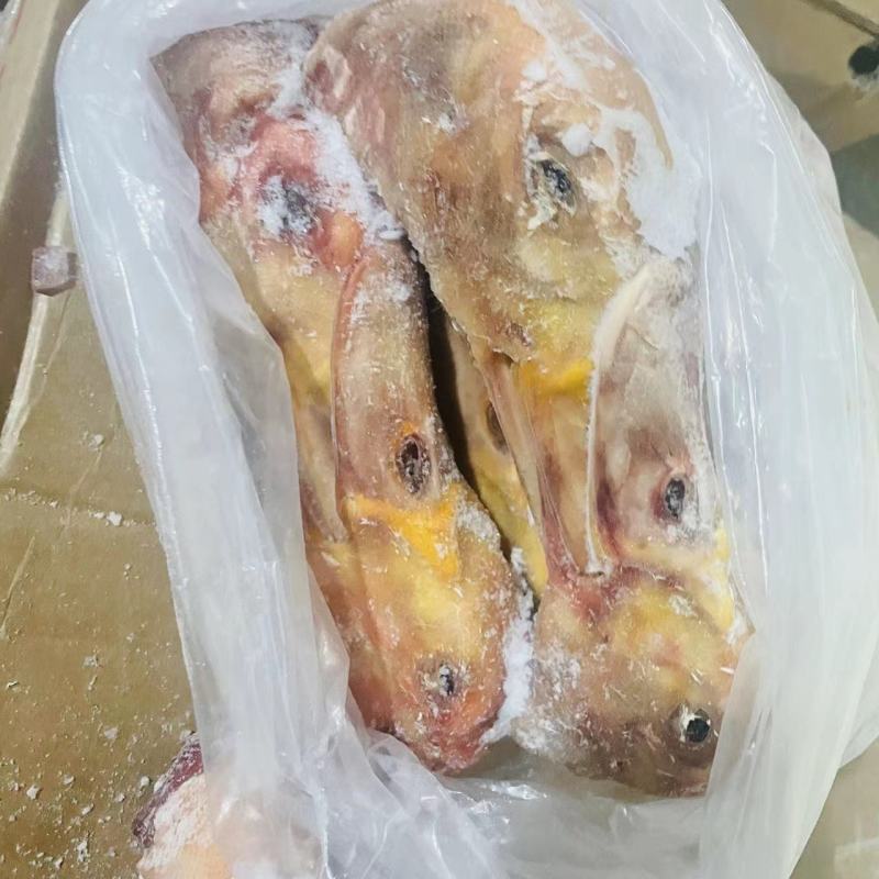 二级鸭头二级大鸭头二级番鸭头特价鸭头，特价大鸭头。