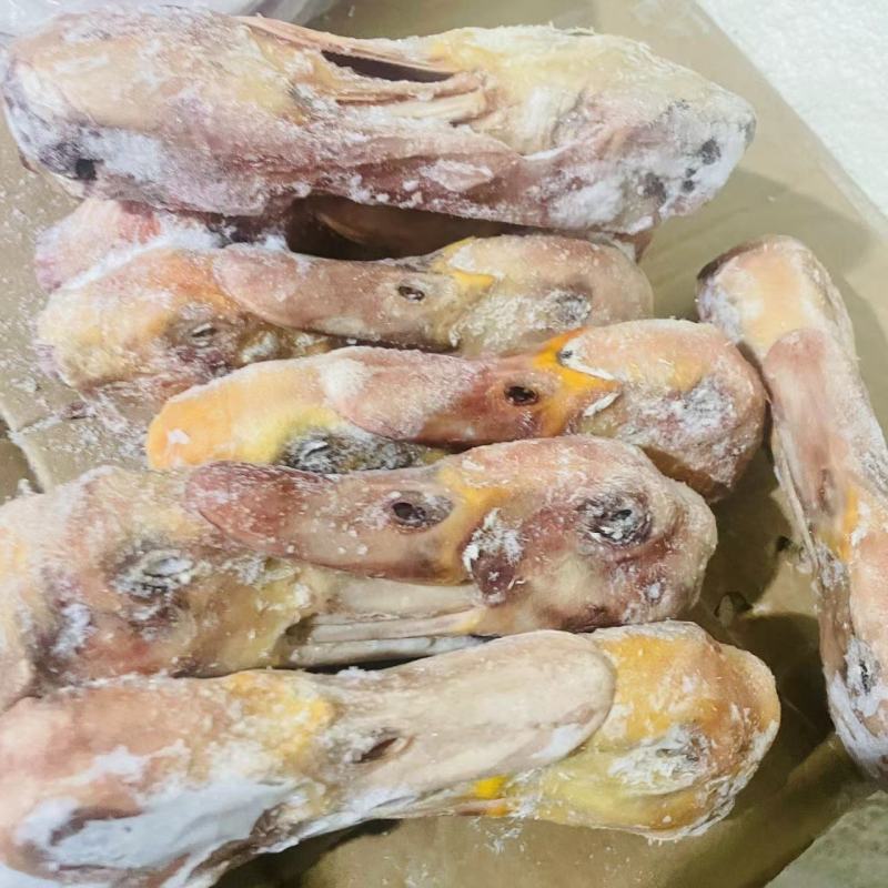 二级鸭头二级大鸭头二级番鸭头特价鸭头，特价大鸭头。