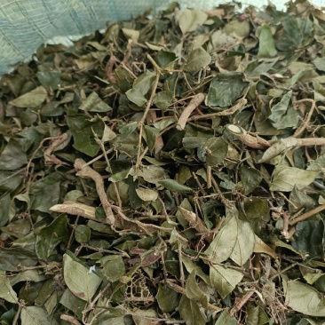 绣花针，绣花针，绣花针，段子，干货干货，野生的