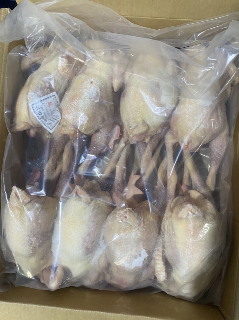 二级白条鸭。