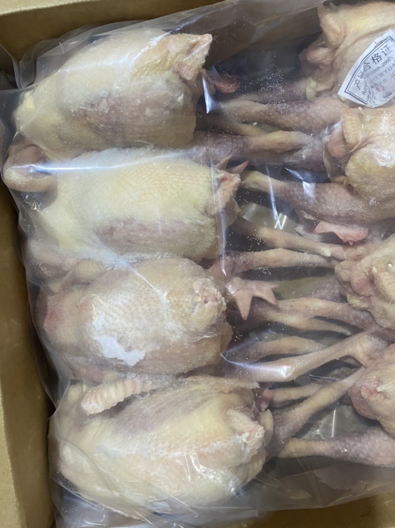 二级白条鸭。