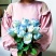 包邮碎冰蓝玫瑰20支玫瑰鲜切花批发一件代发