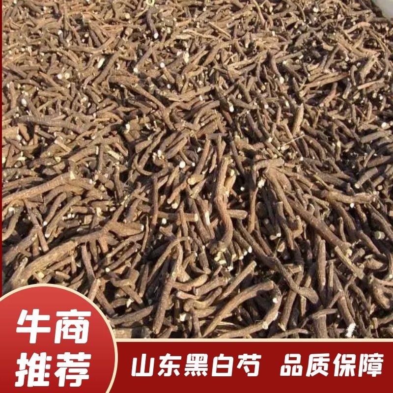 山东白芍，货好量大，欢迎各位老板咨询下单
