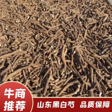 山东白芍,货好量大,欢迎各位老板咨询下单