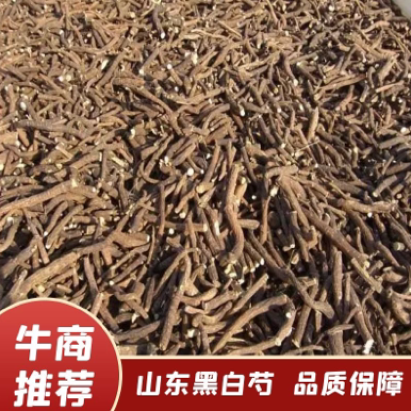 山东白芍，货好量大，欢迎各位老板咨询下单