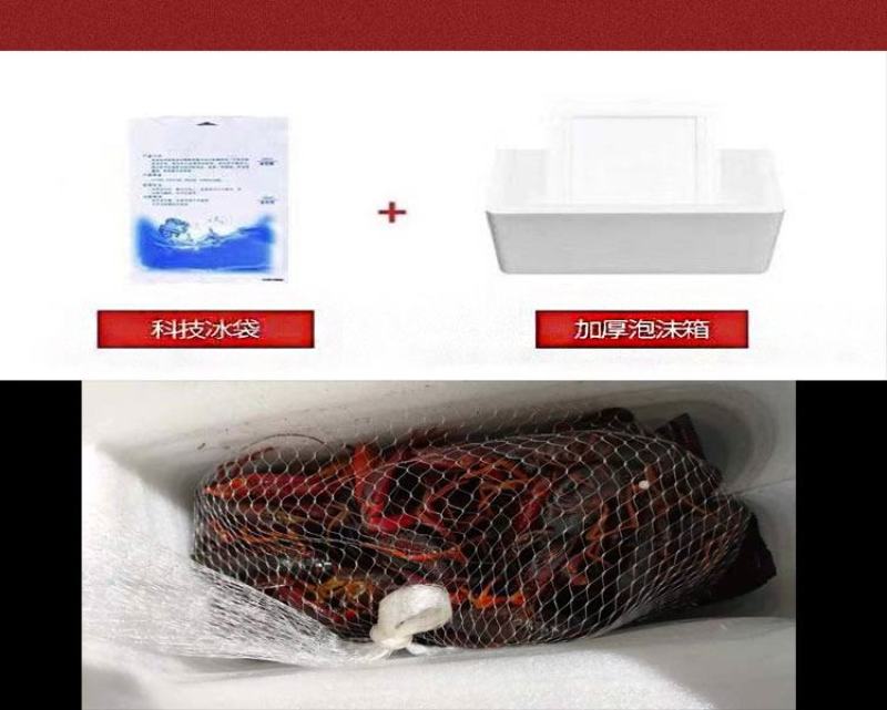 小龙虾5斤鲜活特大藕塘养殖新鲜活体包邮包活可代发保证鲜活
