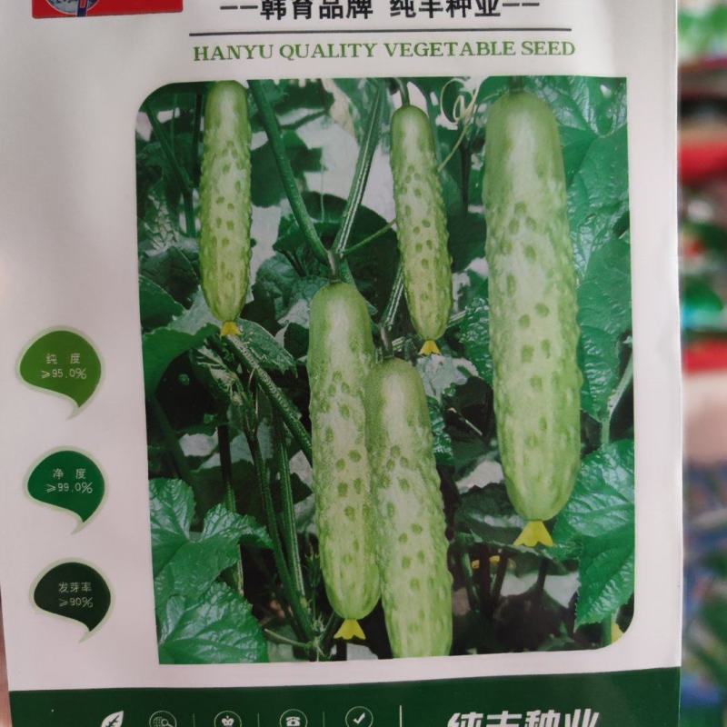 韩白黄瓜种子，长20公分，瓜皮嫩白色