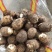 8520芋头，毛芋头，大球，中球，小球大量现货，货源充足
