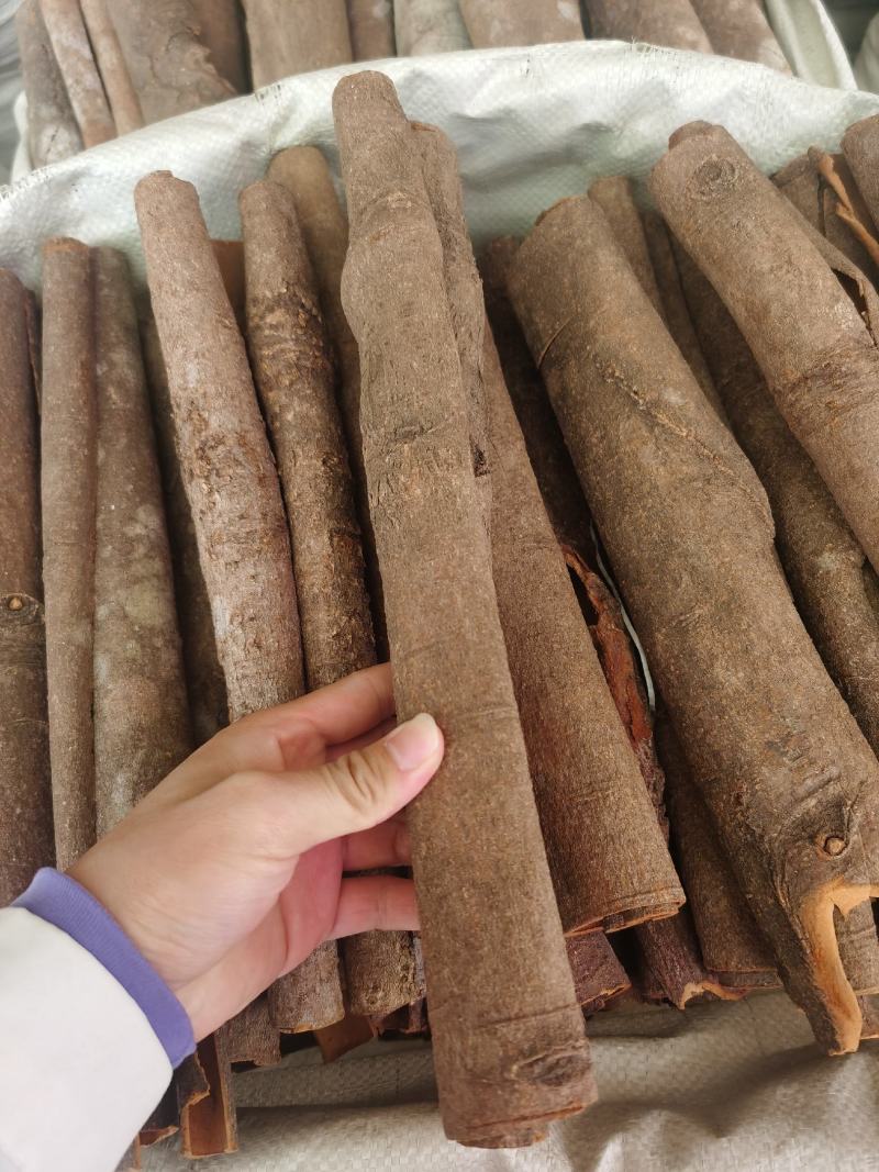 批发广西桂皮调味香料肉桂产地货源