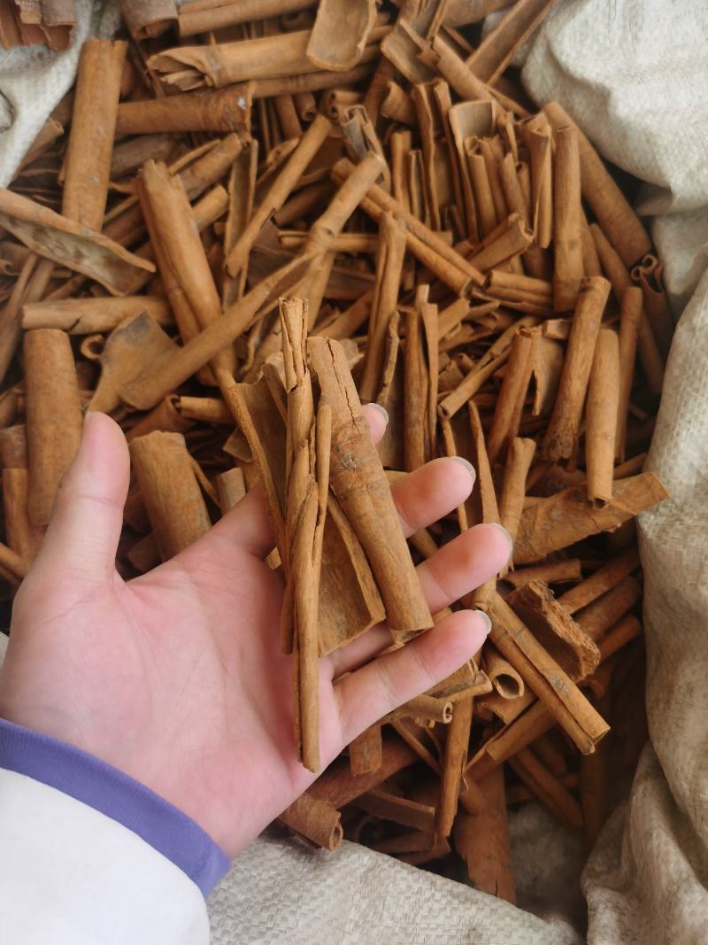 批发广西桂皮调味香料肉桂产地货源