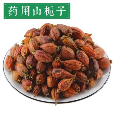 栀子无硫栀子栀子花草茶药用栀子批发零售规格齐全