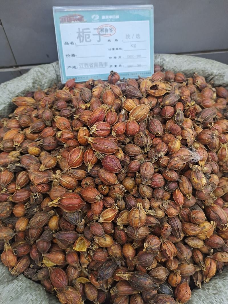 栀子无硫栀子栀子花草茶药用栀子批发零售规格齐全