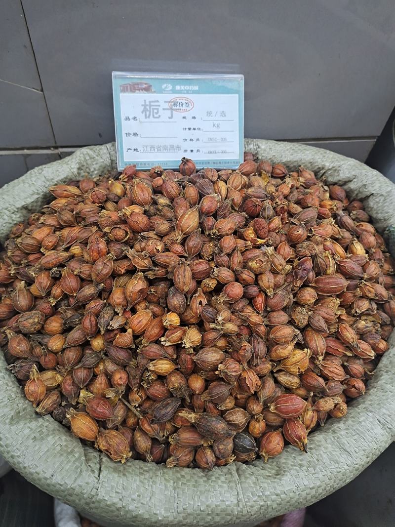栀子无硫栀子栀子花草茶药用栀子批发零售规格齐全