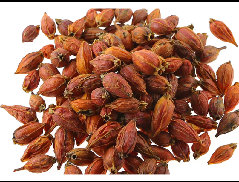 栀子无硫栀子栀子花草茶药用栀子批发零售规格齐全