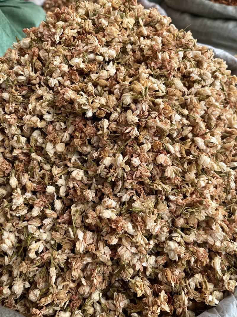 批发广西茉莉花干货产地货源横县茉莉花茶散装