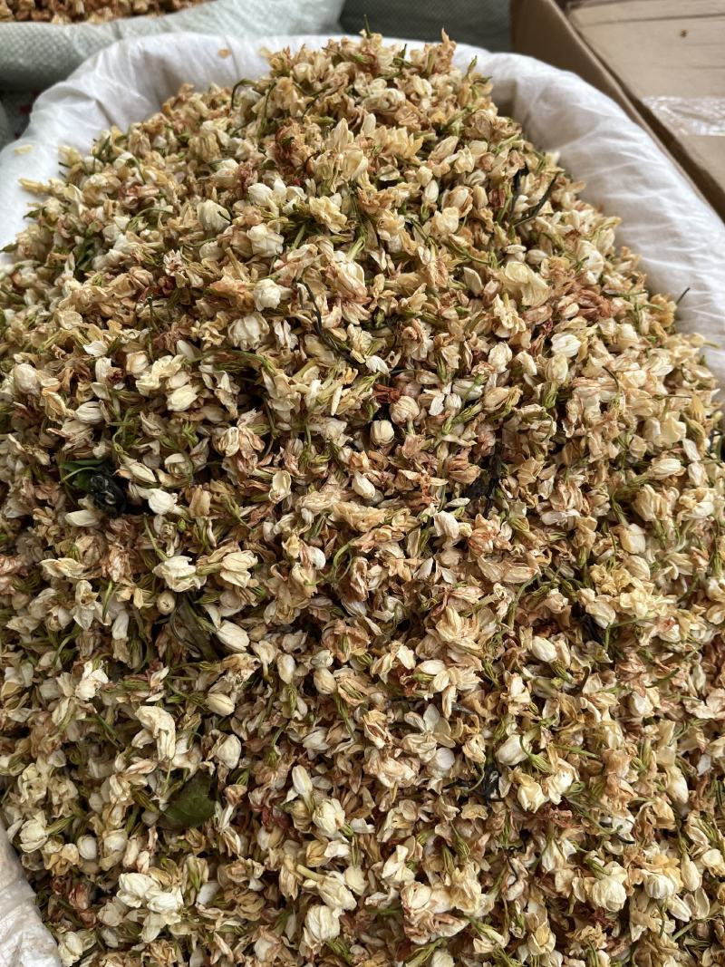 批发广西茉莉花干货产地货源横县茉莉花茶散装