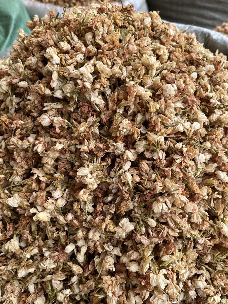 批发广西茉莉花干货产地货源横县茉莉花茶散装