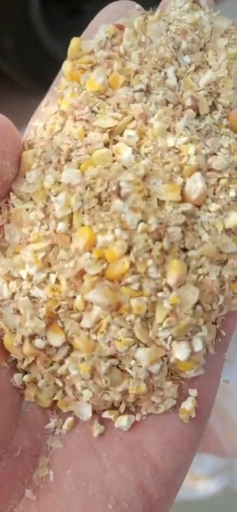 东北碎玉米，保证九个粮，水分十个以内，厂家直销大量供应