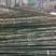 2-7米大棚竹，原产地直销，价格优惠，质量保证。