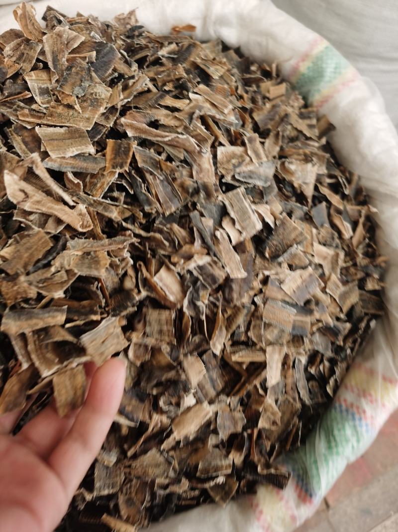 批发广地龙产地货源地龙蚯蚓干