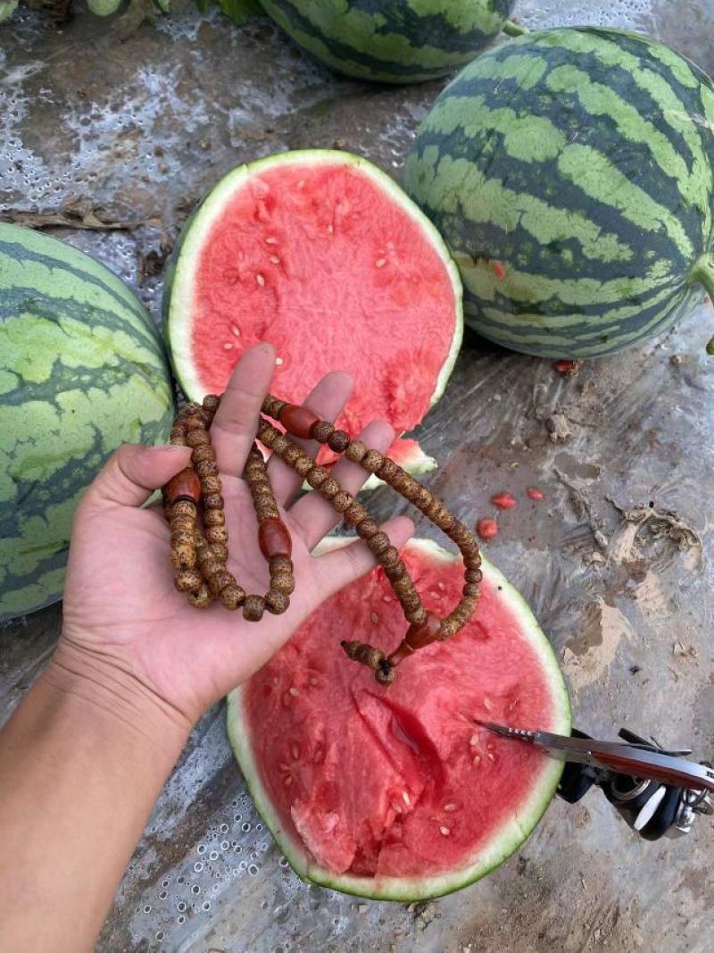 云南美都西瓜大棚头茬无籽对接市场商超电商糖度高