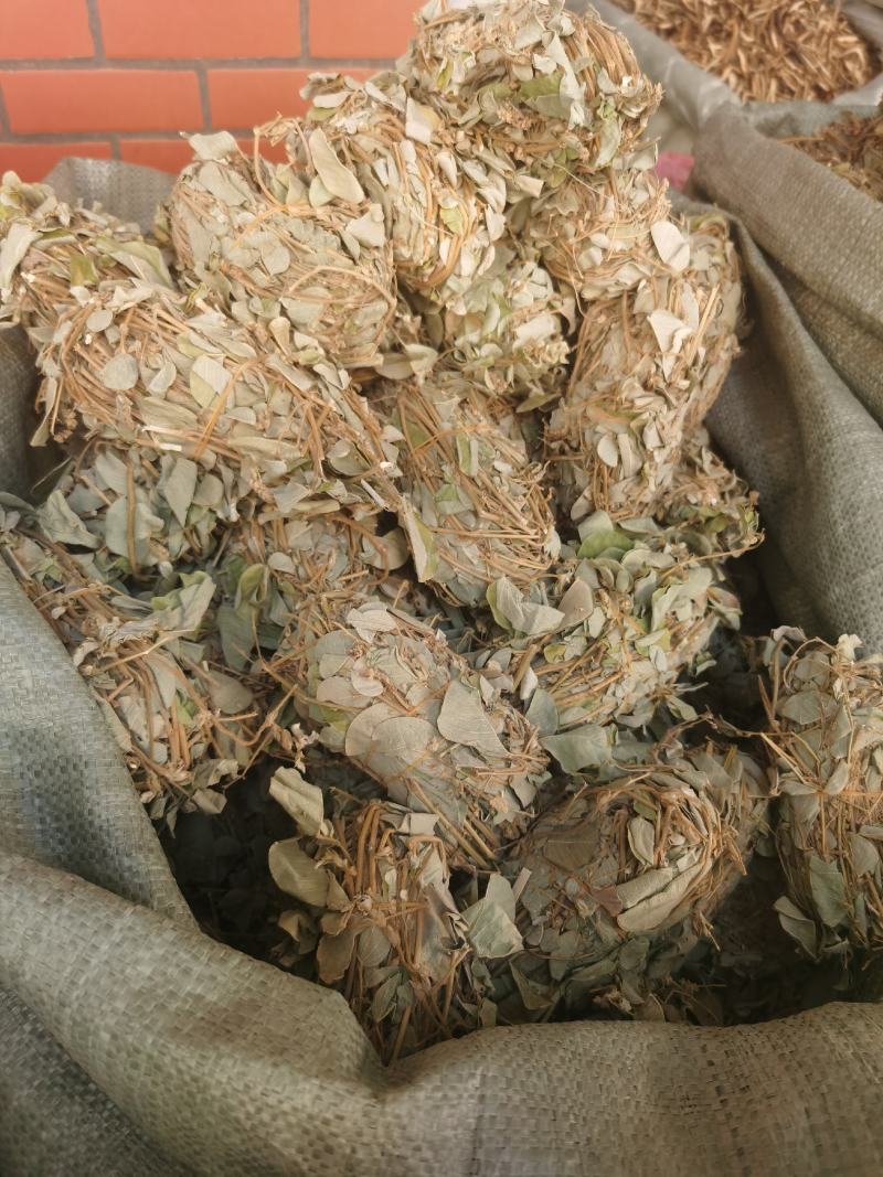 批发广西金钱草产地货源大叶金钱草