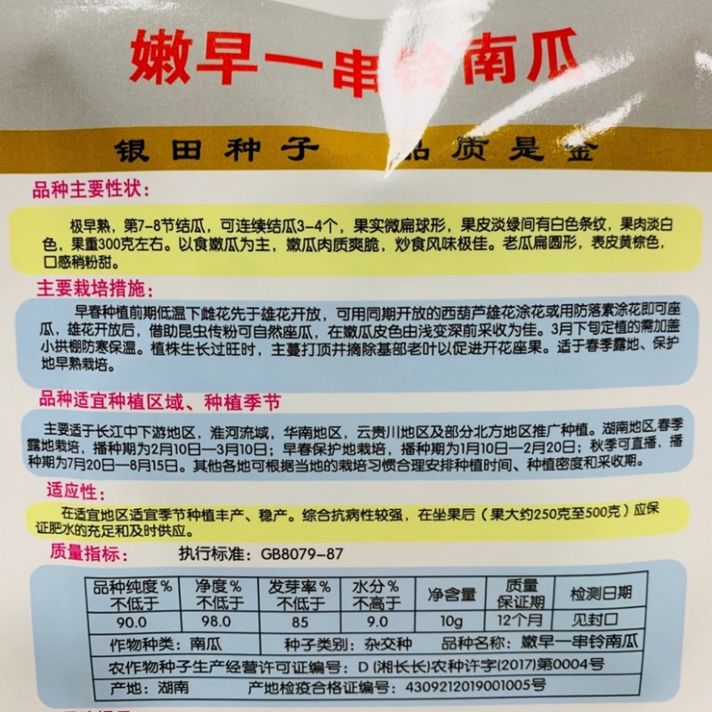嫩早一串铃嫩南瓜种子果实微扁球形一串玲南瓜种籽嫩瓜爽脆